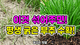 홈 갤러리 이미지