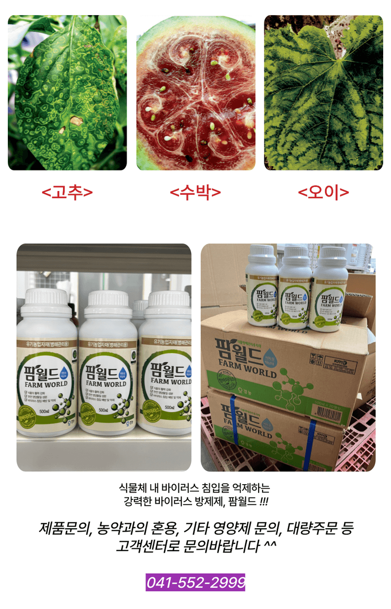 병천아그로(주)법인님의 장터 판매 상품 [팜월드 500ml 고추 바이러스 식물영양제 화분영양제 비료 칼라병 경농] 첨부 사진