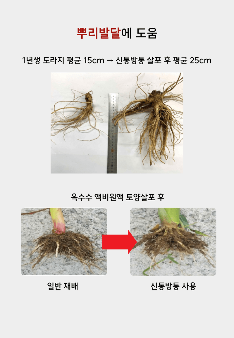 병천아그로(주)법인님의 장터 판매 상품 [신통방통 4L 특수미생물 천연효소제 토양미생물제 뿌리영양제 식물영양제 두더지퇴치] 첨부 사진
