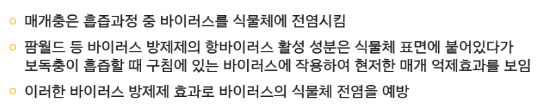 병천아그로(주)법인님의 장터 판매 상품 [팜월드 500ml 고추 바이러스 식물영양제 화분영양제 비료 칼라병 경농] 첨부 사진