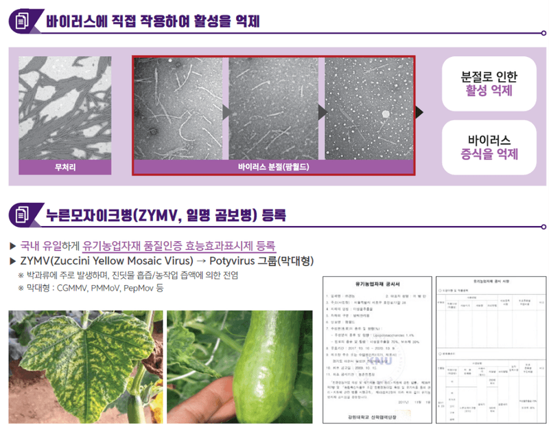 병천아그로(주)법인님의 장터 판매 상품 [팜월드 500ml 고추 바이러스 식물영양제 화분영양제 비료 칼라병 경농] 첨부 사진