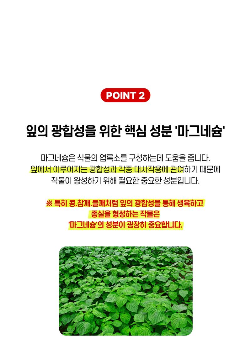 파머스케어님의 장터 판매 상품 [가든필리아 콩참깨비료2kg 들깨 잡곡류 생육 꼬투리 형성 도움 비료 칼슘 마그네슘 황 규산 함유] 첨부 사진