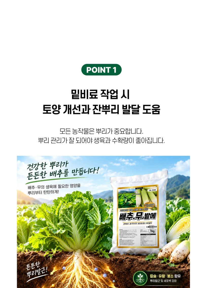 세종농자재센터님의 장터 판매 상품 [비료컴퍼니 배추무밭500ml 배추무밭에1kg 세트 배추밭 무밭 아미노산 배추 생육 도움 복합비료 세트 ] 첨부 사진