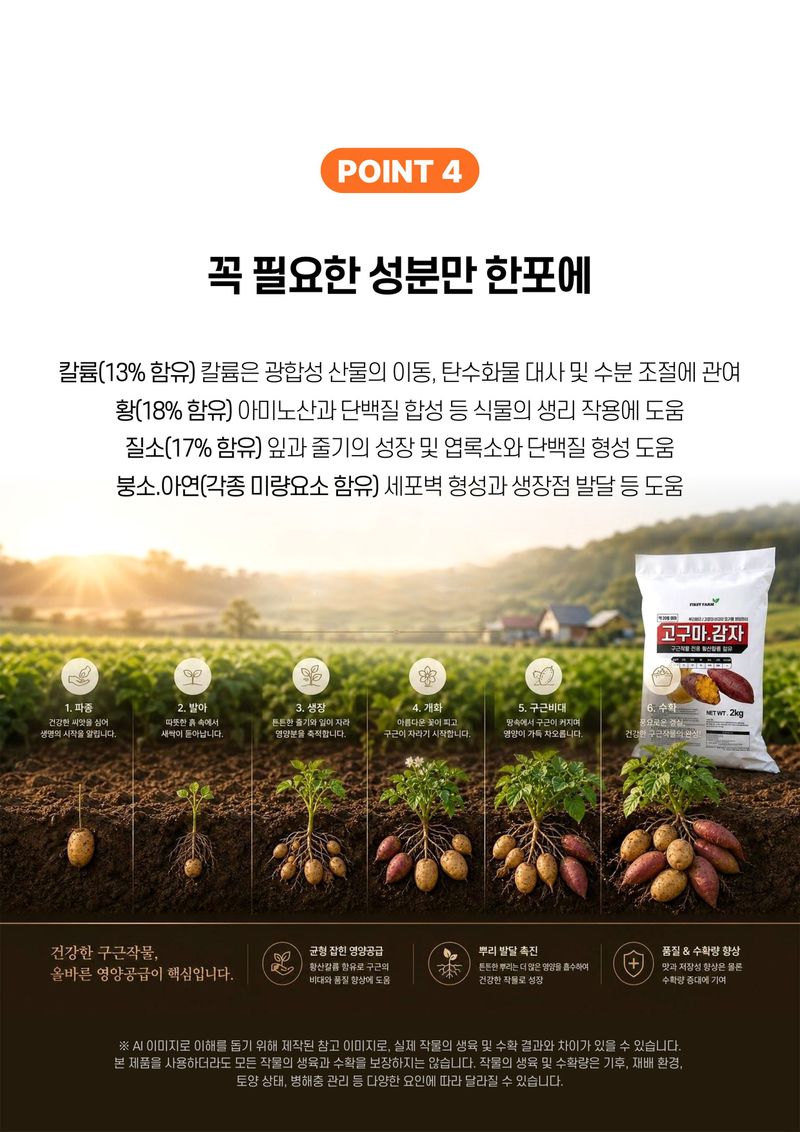세종농자재센터님의 장터 판매 상품 [가든필리아 고구마감자2kg 구근류 뿌리발근 황산칼륨 함유 괴경 비대 기비 추비 비료] 첨부 사진