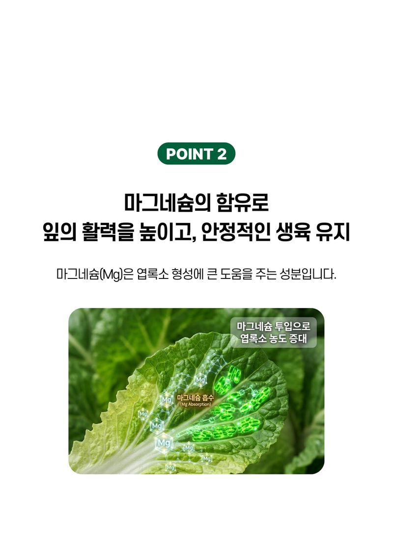 세종농자재센터님의 장터 판매 상품 [배추무밭에1kg 배추 무 비료 품질향상 도움 칼슘 유황 함유] 첨부 사진