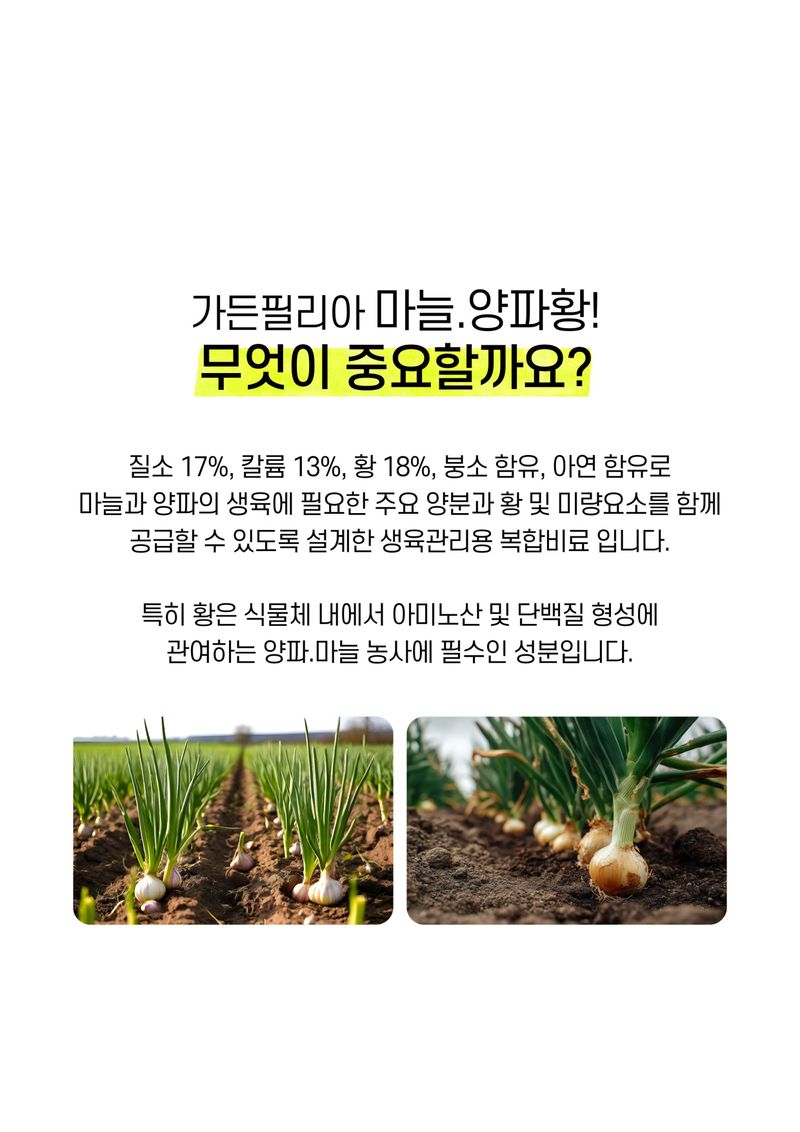 파머스케어님의 장터 판매 상품 [가든필리아 마늘양파황2kg 비료 추비 기비 밑비료 텃밭 복합비료 뿌리발근 수확량 도움 ] 첨부 사진