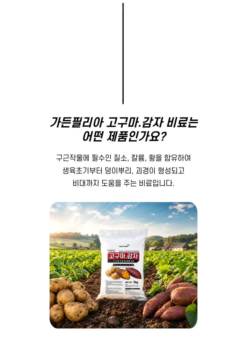 세종농자재센터님의 장터 판매 상품 [가든필리아 고구마감자2kg 구근류 뿌리발근 황산칼륨 함유 괴경 비대 기비 추비 비료] 첨부 사진