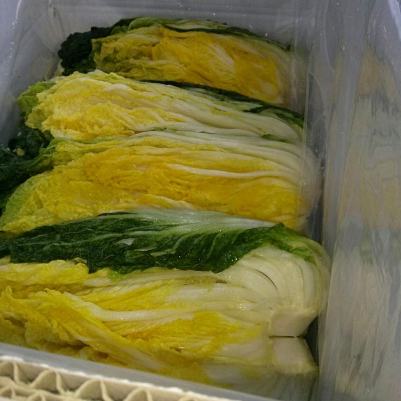 팜포켓님의 장터 판매 상품 [[예약판매] HACCP 해남 절임 배추 김장] 첨부 사진