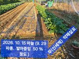 박성민님의 자유주제·자유게시판 작성글 사진