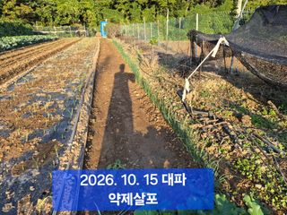 박성민님의 자유주제 · 자유게시판 작성글 사진