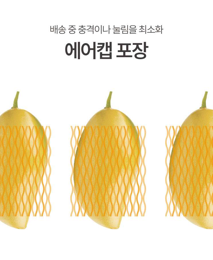 메종루엘님의 장터 판매 상품 [베트남 골드망고 ] 첨부 사진