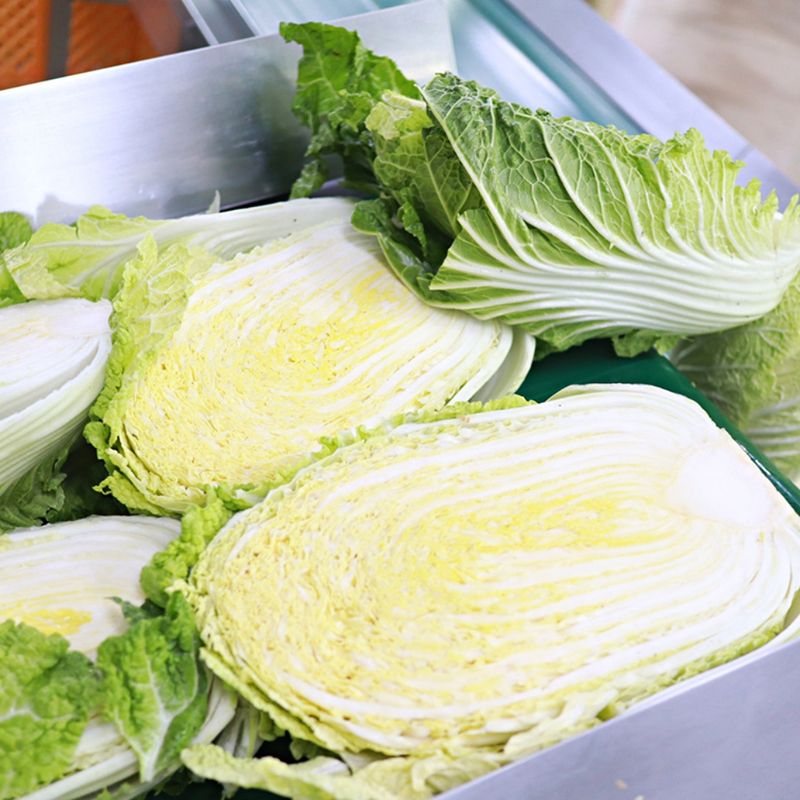 팜포켓님의 장터 판매 상품 [[예약판매] HACCP 해남 절임 배추 김장] 첨부 사진