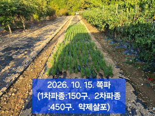 박성민님의 자유주제 · 자유게시판 작성글 사진