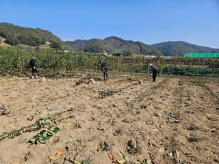일심묘목농원님의 자유주제 · 자유게시판 작성글 사진