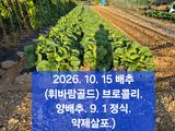 팜모닝 자유주제·자유게시판 게시글 이미지