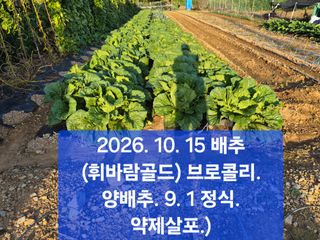 박성민님의 자유주제·자유게시판 작성글 사진