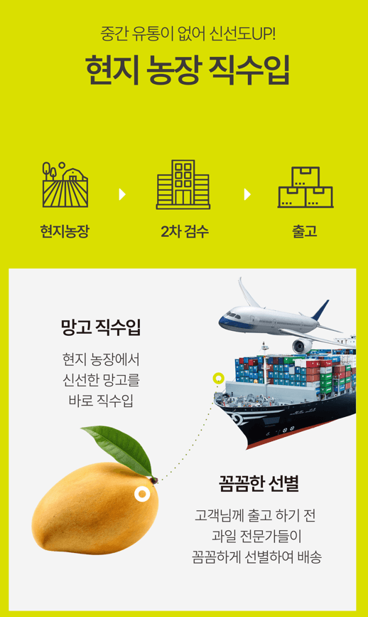 메종루엘님의 장터 판매 상품 [베트남 골드망고 ] 첨부 사진