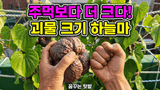 팜모닝 자유주제·자유게시판 게시글 이미지