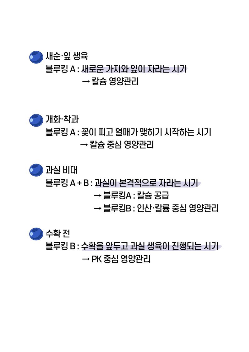 세종농자재센터님의 장터 판매 상품 [가든필리아 블루킹B 500ml 2병 블루베리 인산가리 비료 당도향상 수확량증가 비대 생육 성장 영양제] 첨부 사진
