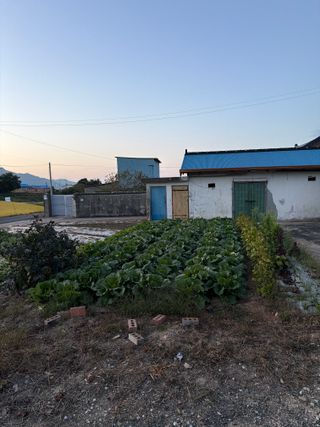 김영진님의 자유주제 · 자유게시판 작성글 사진