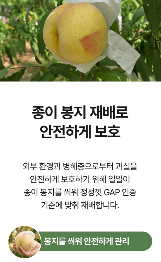 메종루엘님의 장터 판매 상품 [창원부유단감] 첨부 사진