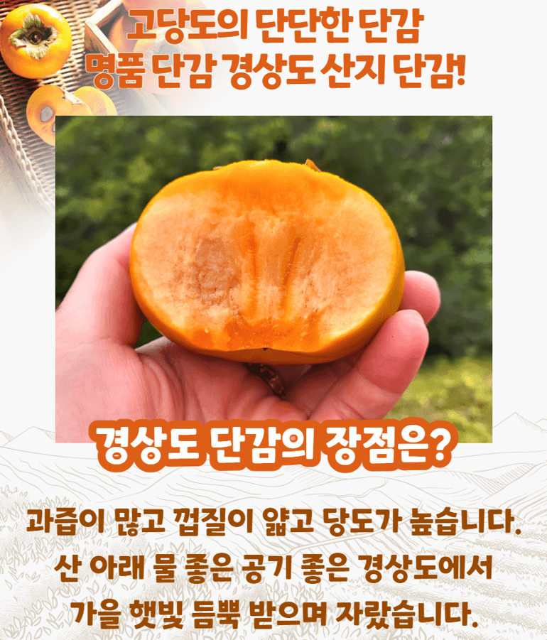 메종루엘님의 장터 판매 상품 [경남부유단감] 첨부 사진