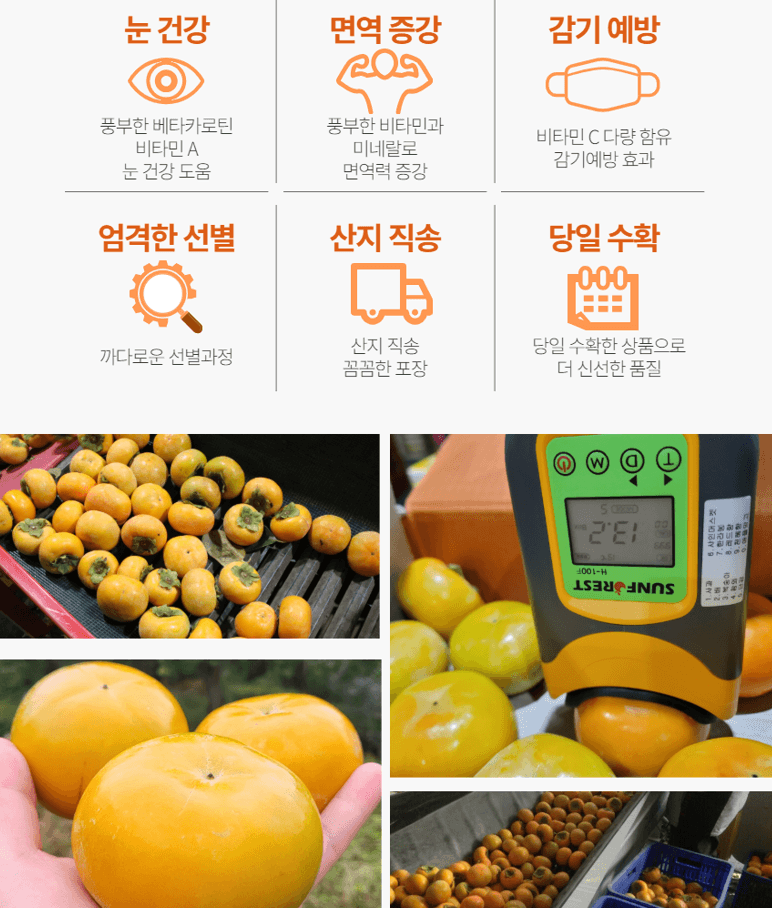 메종루엘님의 장터 판매 상품 [경남부유단감] 첨부 사진