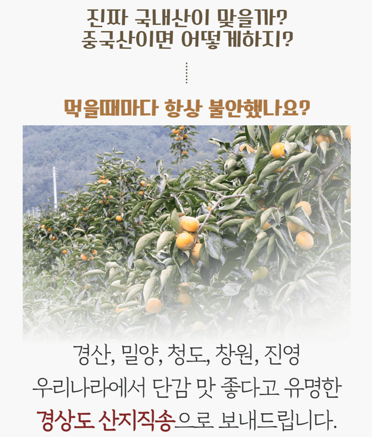 메종루엘님의 장터 판매 상품 [창원부유단감] 첨부 사진