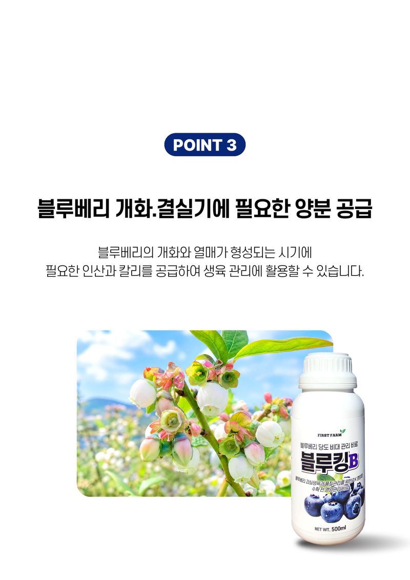 세종농자재센터님의 장터 판매 상품 [가든필리아 블루킹B 500ml 2병 블루베리 인산가리 비료 당도향상 수확량증가 비대 생육 성장 영양제] 첨부 사진