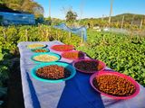 남돌돌님의 자유주제·자유게시판 작성글 사진