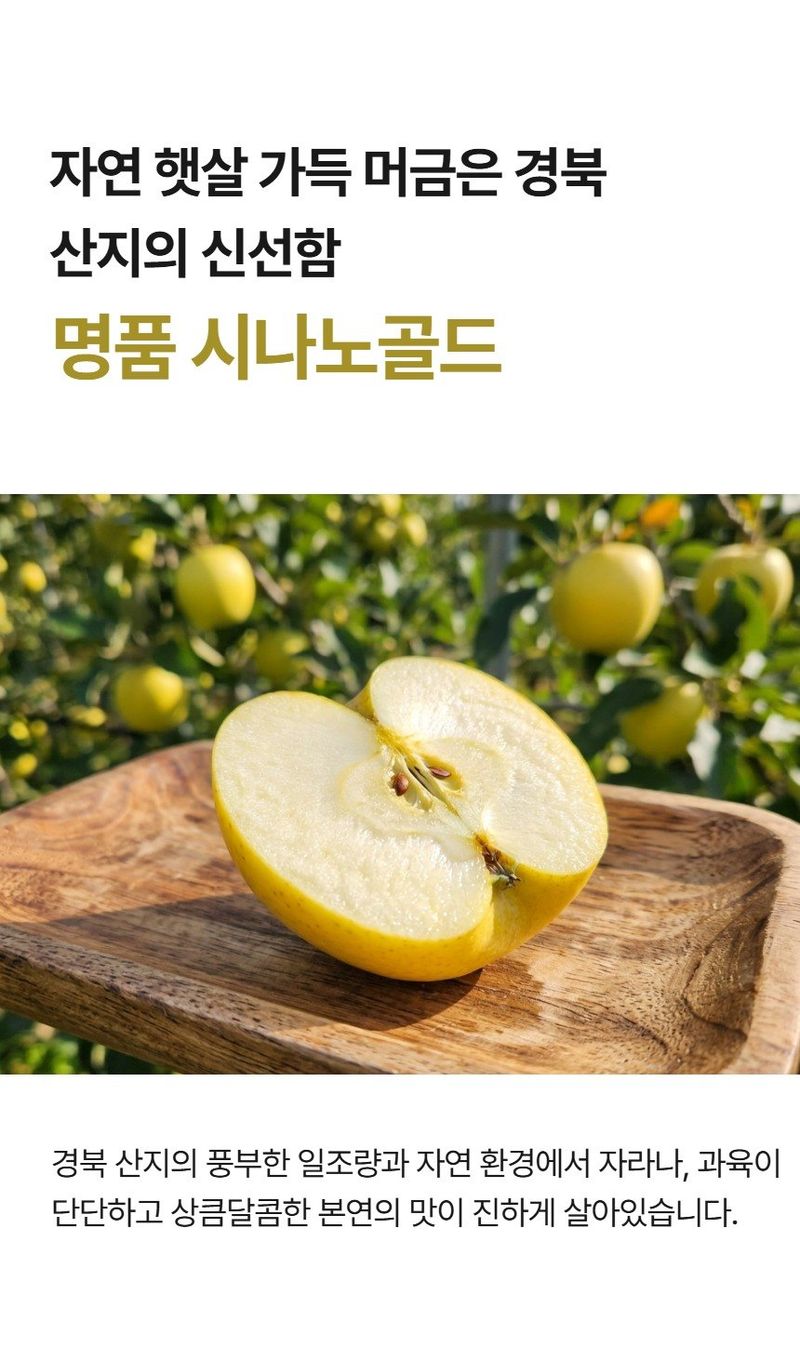 메종루엘님의 장터 판매 상품 [시나노골드 ] 첨부 사진