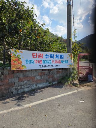 농촌사랑님의 자유주제 · 자유게시판 작성글 사진