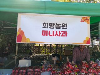 황의진님의 자유주제·자유게시판 작성글 사진