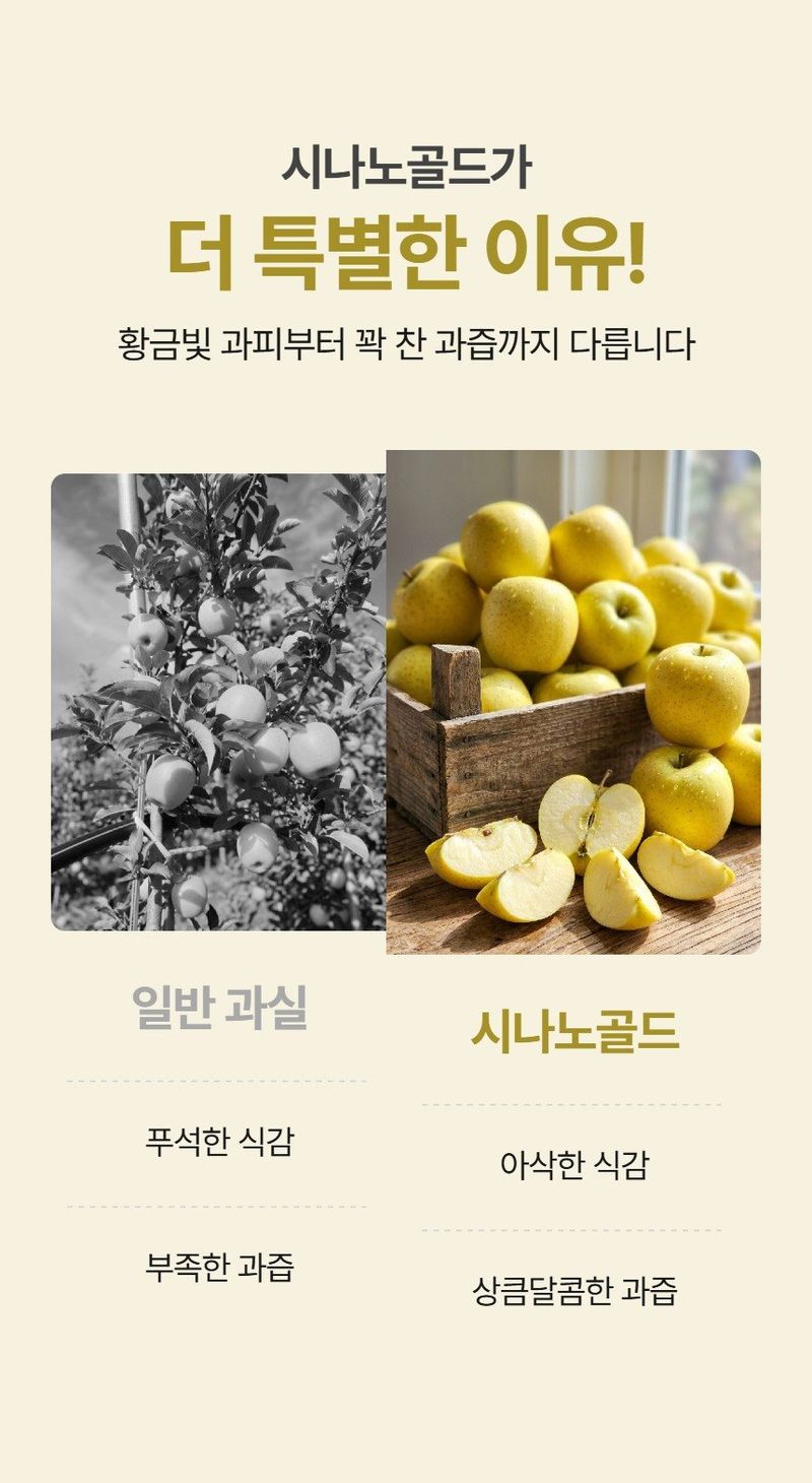 메종루엘님의 장터 판매 상품 [시나노골드 ] 첨부 사진