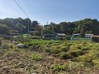 Kns4324님의 자유주제 · 자유게시판 작성글 사진