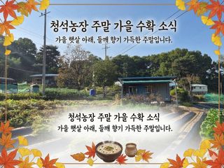 Kns4324님의 자유주제·자유게시판 작성글 사진