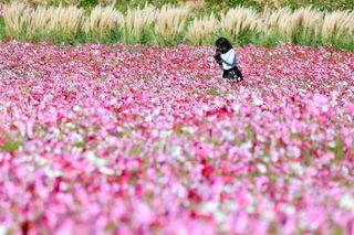 국중선님의 자유주제 · 자유게시판 작성글 사진