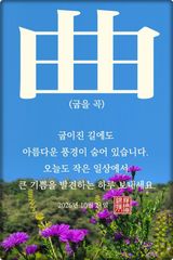 팜모닝 자유주제·자유게시판 게시글 이미지