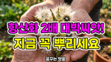 팜모닝 자유주제·자유게시판 게시글 이미지