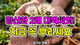홈 갤러리 이미지