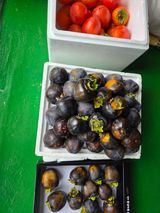 팜모닝 자유주제·자유게시판 게시글 이미지