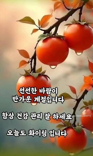 Captain김상곤님의 자유주제 · 사진전 작성글 사진