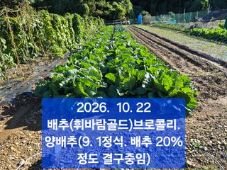 박성민님의 자유주제 · 자유게시판 작성글 사진