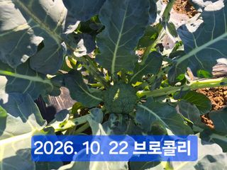 박성민님의 자유주제 · 자유게시판 작성글 사진