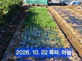 박성민님의 자유주제·자유게시판 작성글 사진