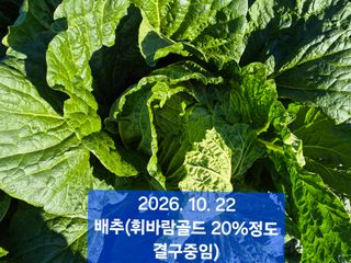 박성민님의 자유주제 · 자유게시판 작성글 사진