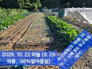 박성민님의 자유주제 · 자유게시판 작성글 사진