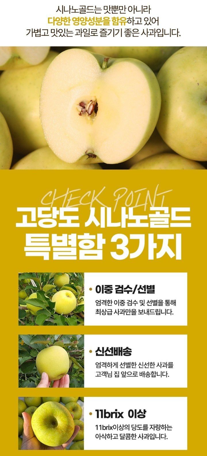 자두14488님의 장터 판매 상품 [시나노골드 사과10kg 가정용 중대과] 첨부 사진