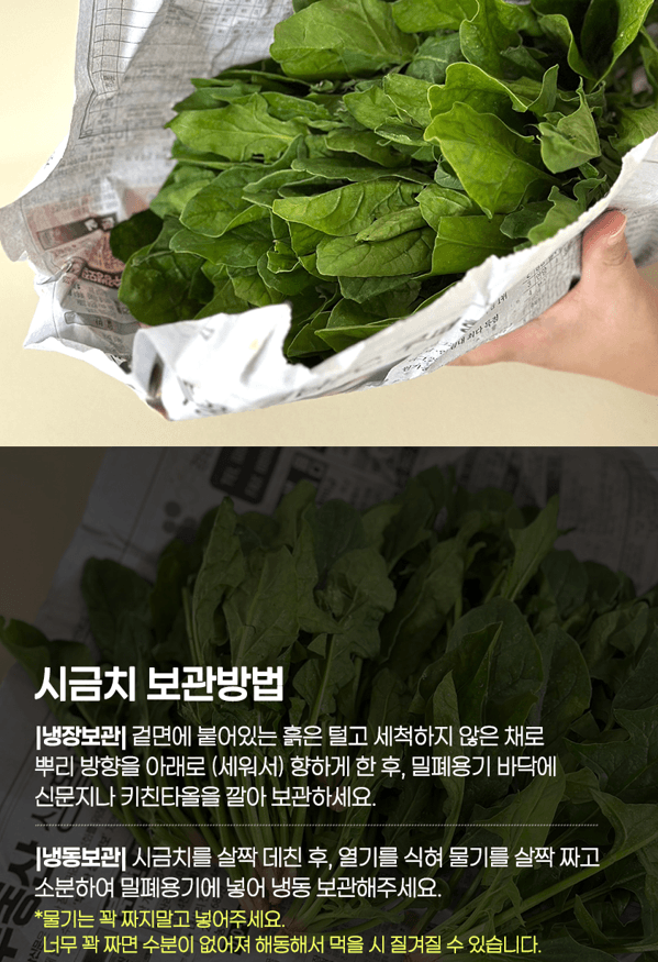 메종루엘님의 장터 판매 상품 [남해 시금치 (육지초)] 첨부 사진