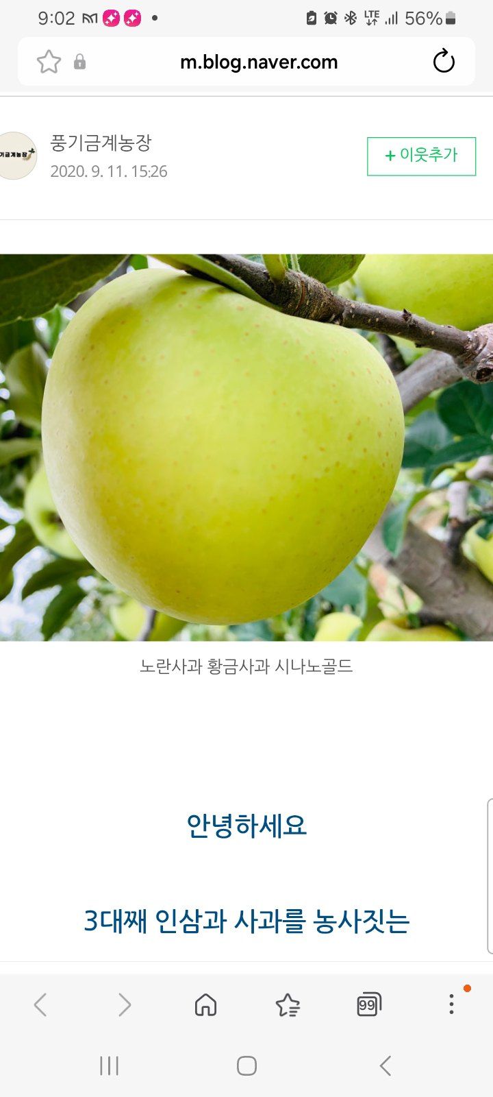 자두14488님의 장터 판매 상품 [시나노골드 사과10kg 가정용 중대과] 첨부 사진